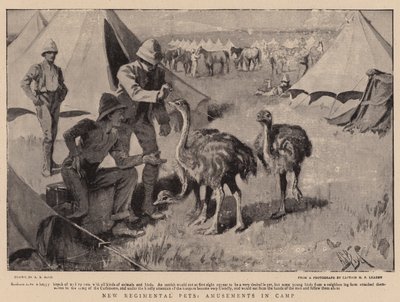 New Regimental Pets, Amusements in Camp by Alexander Stuart Boyd